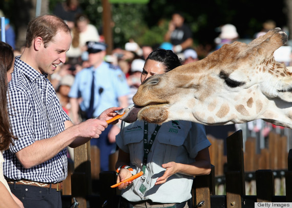 The Cutest 36 Photos Of The Royal Family