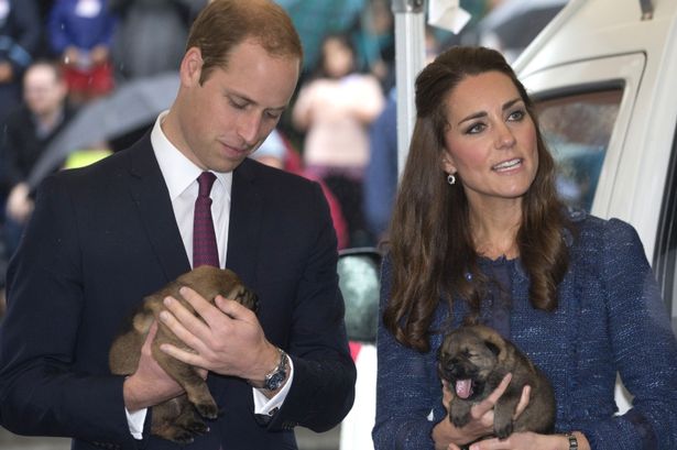 The Cutest 36 Photos Of The Royal Family