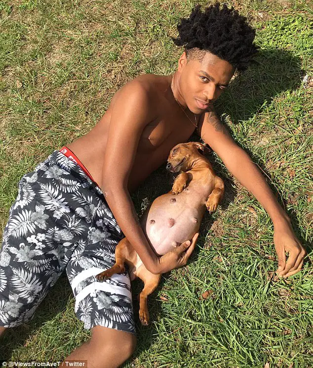 This Guy's Maternity Photoshoot With His Pregnant Dog Has The Internet Divided