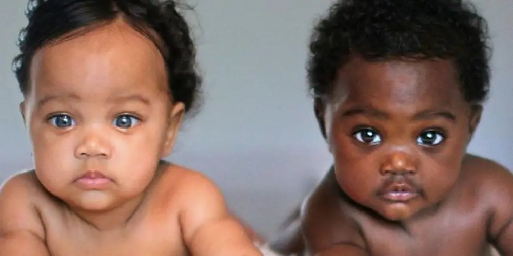 Meet The Baby Twins Brie and Bella - One Is Caramel With Green Eyes ...