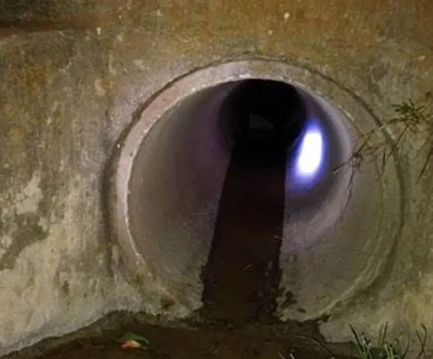 Autopsy Reveals 3-year-old Adopted Indian Girl Died of Homicidal Violence Before Her Body Was Found In A Drainage Tunnel