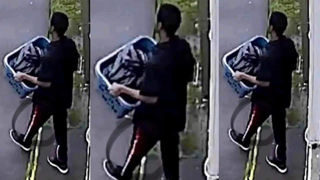 Maleah Davis Remains Confirmed To Be Hers After Stepfather Confessed To Dumping Four-Year-Old's Body