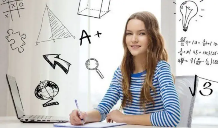 Dishonest assistance essay 07 image