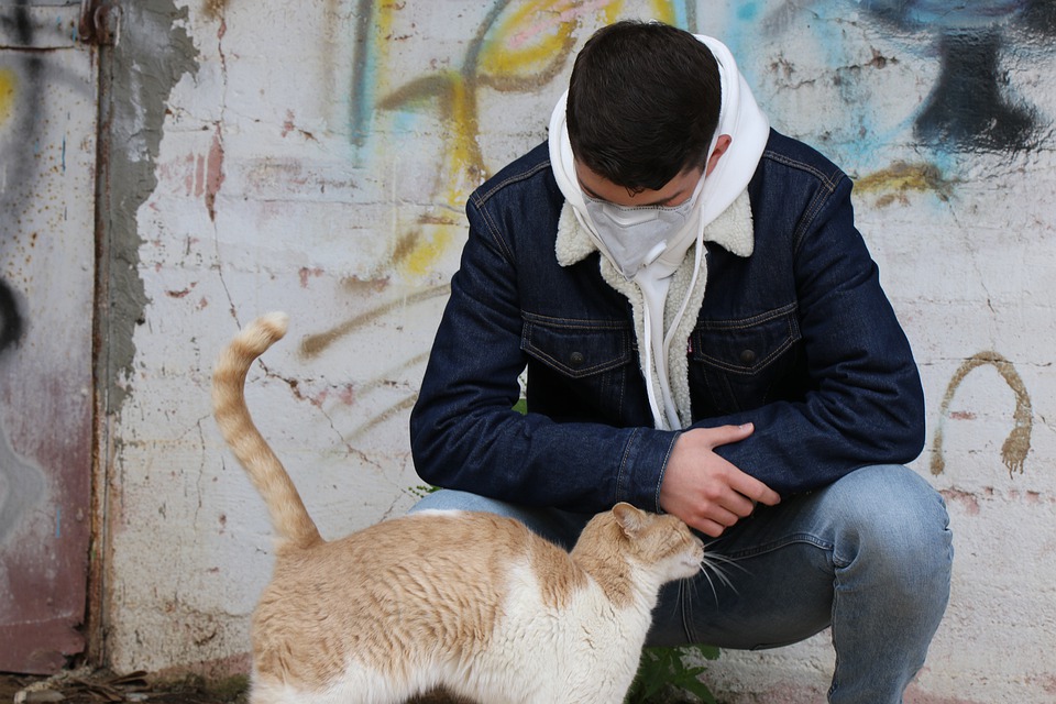 Should you worry about your pet getting CoronaVirus?