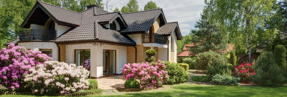 Cheap Curb Appeal 101: How to Transform Your Front Yard