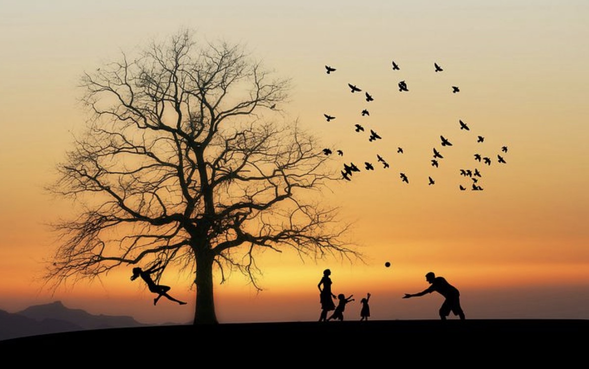 Simple Steps You Can Take To Know Your Family History Better