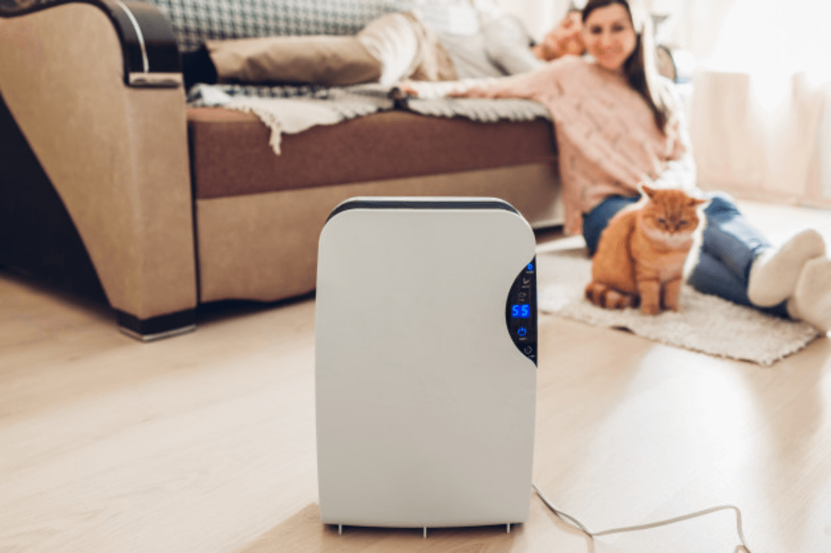 Why You Need a Garage Dehumidifier
