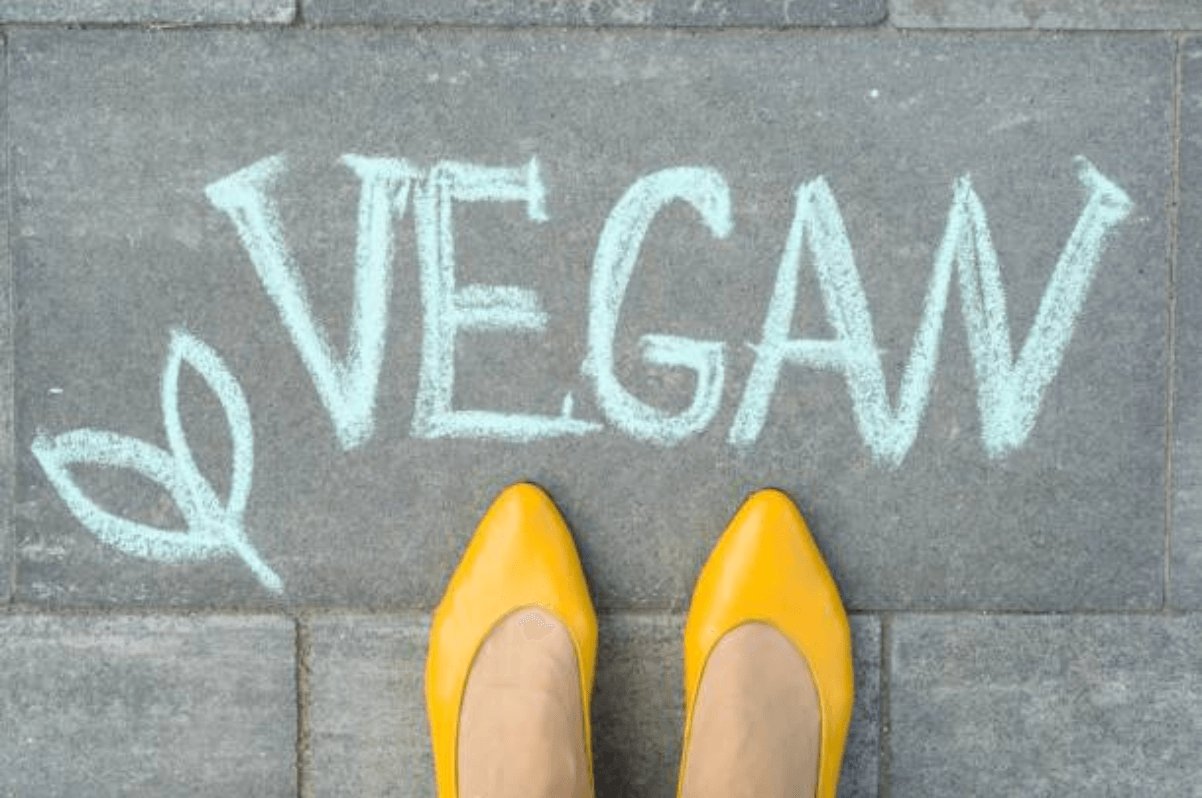 Buying a Pair of Vegan Shoes? Here’s What You Should Know