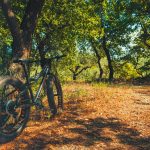All About The Fat Bicycle