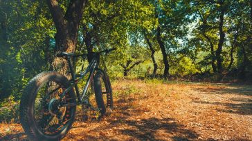 All About The Fat Bicycle