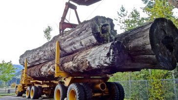 The Dangers of Log Truck Accidents