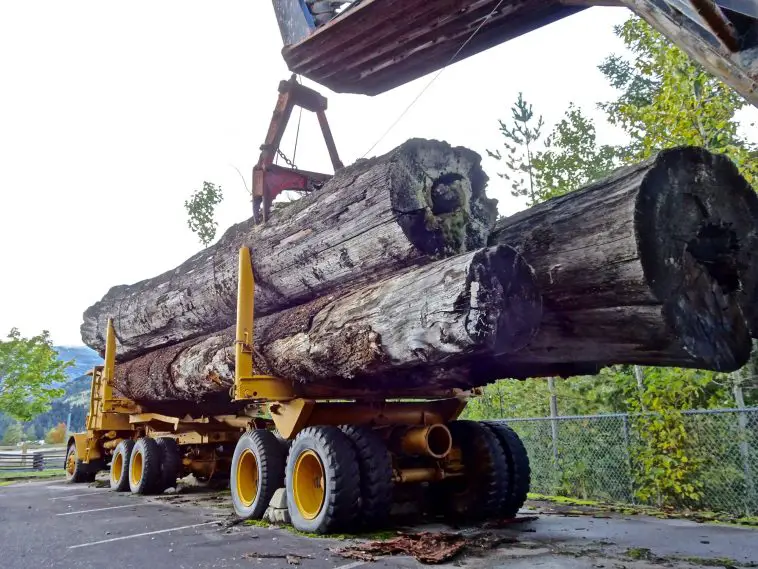 The Dangers of Log Truck Accidents
