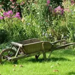 6 Gardening Secrets That Will Enhance Your Garden