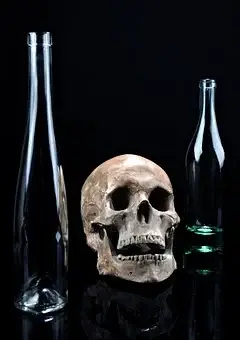 Interesting Facts That You Need To Know About The Human Skull