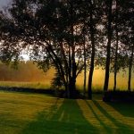 June Summer Solstice: What Is It & How To Celebrate