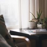 Top Plants To Keep In Your Home