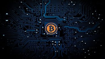 Cryptocurrency vs Bitcoin