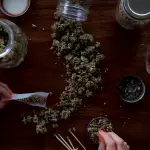 CBD Gummies Legal