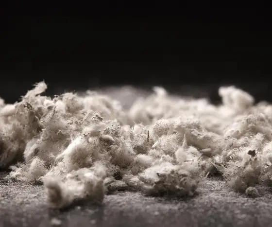 Atlanta's Lack of Asbestos Regulations