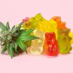 CBD gummies