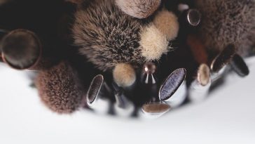 High-Tech Beauty Tools all Tech Junkies Need