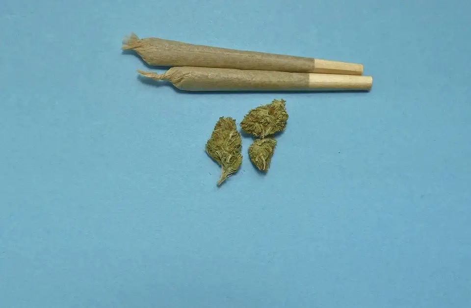 4 Tips on How You Can Improve Your Weed Smoking Experience