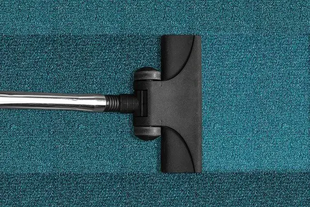 Choosing the Right Carpet Cleaning Service for Your Home and Office