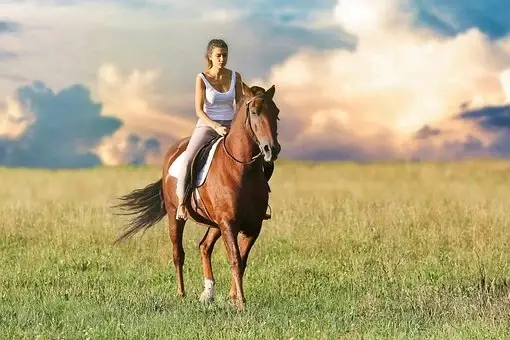 4 Simple Ways To Take Better Care Of Your Horse