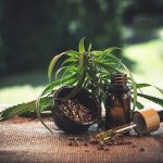 Common Myths About Hemp Debunked