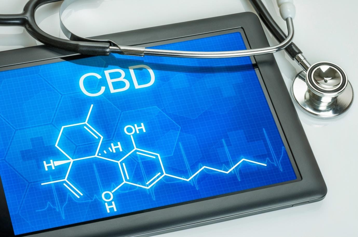 What Is CBD Isolate Powder?