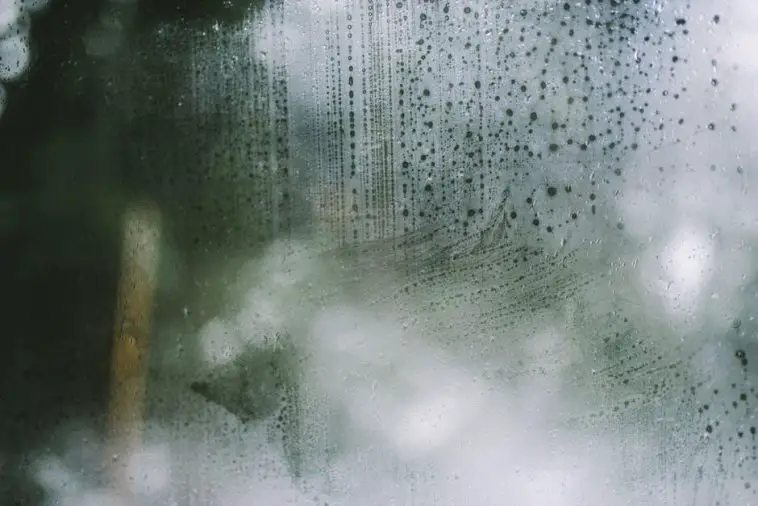 Clearing Things Up: The Common Causes of Foggy Windows Explained