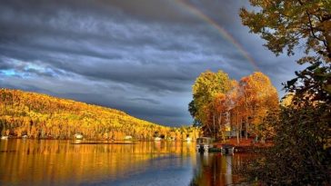 7 Movies That Will Make You Fall in Love with Canada