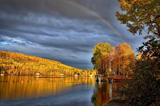 7 Movies That Will Make You Fall in Love with Canada