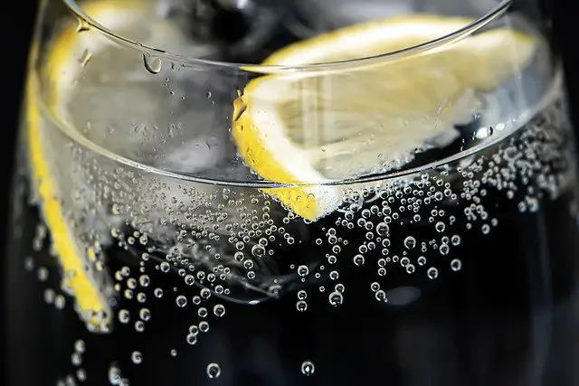 5 Facts about Tonic Water