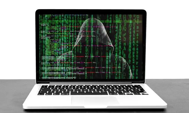 Which Are the Most Common Scams on the Internet?