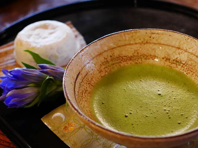 Are Kratom Shots In Texas The New Trend?
