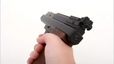 Gun
