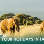 Holidays in Tanzania