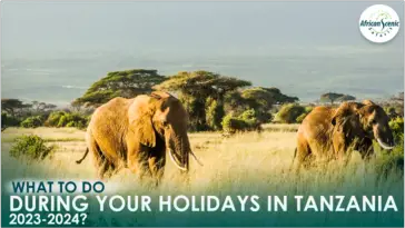 Holidays in Tanzania