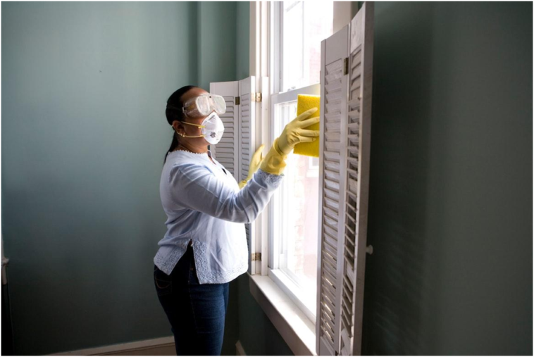 Pest prevention