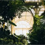 Plants