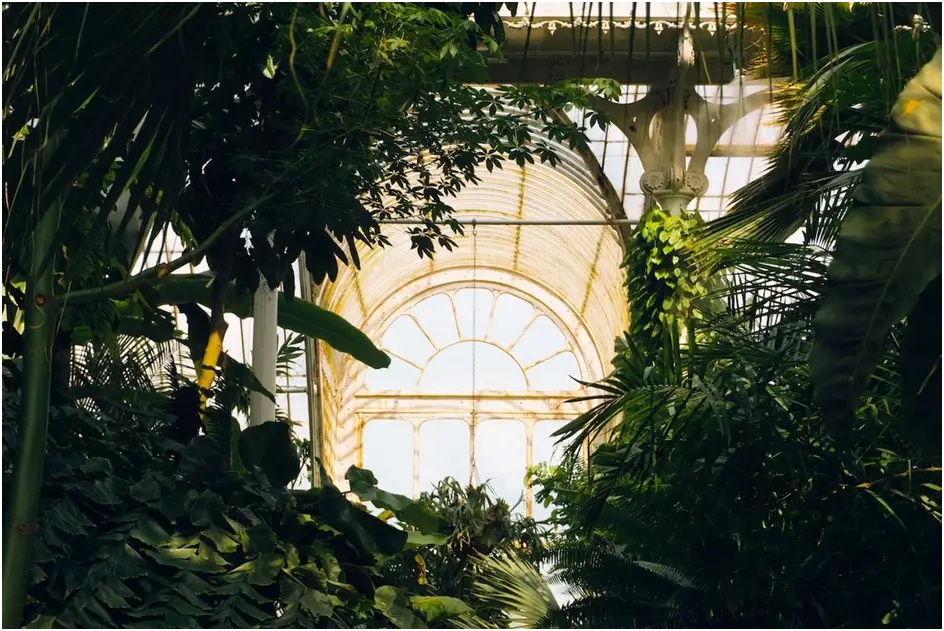 How To Design A Beautiful Conservatory For Keeping Plants