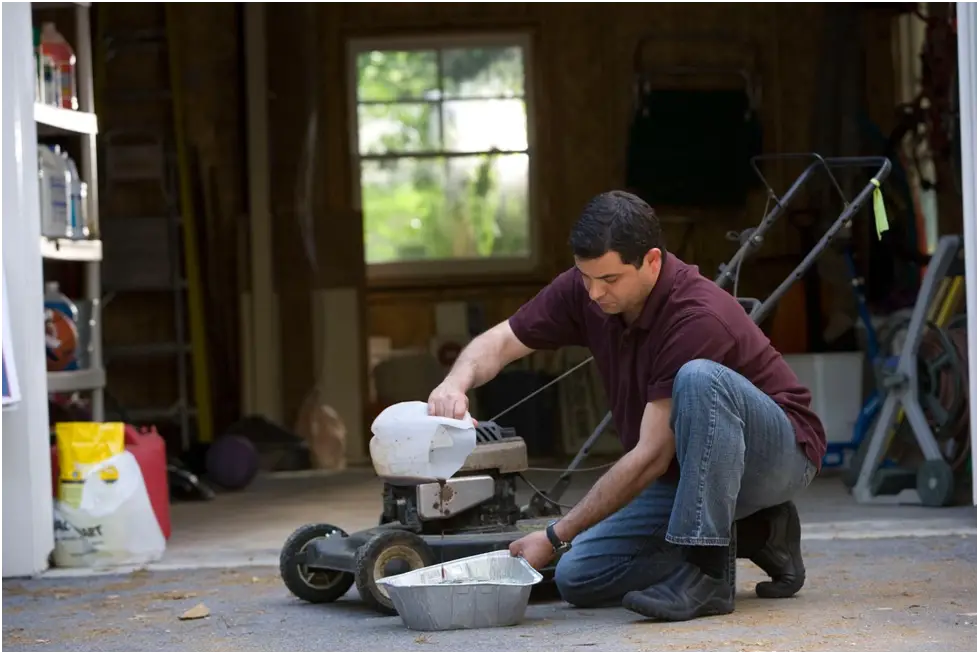How To Choose A Reliable Termite Control Company: Top Steps