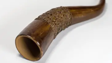 drinking horn