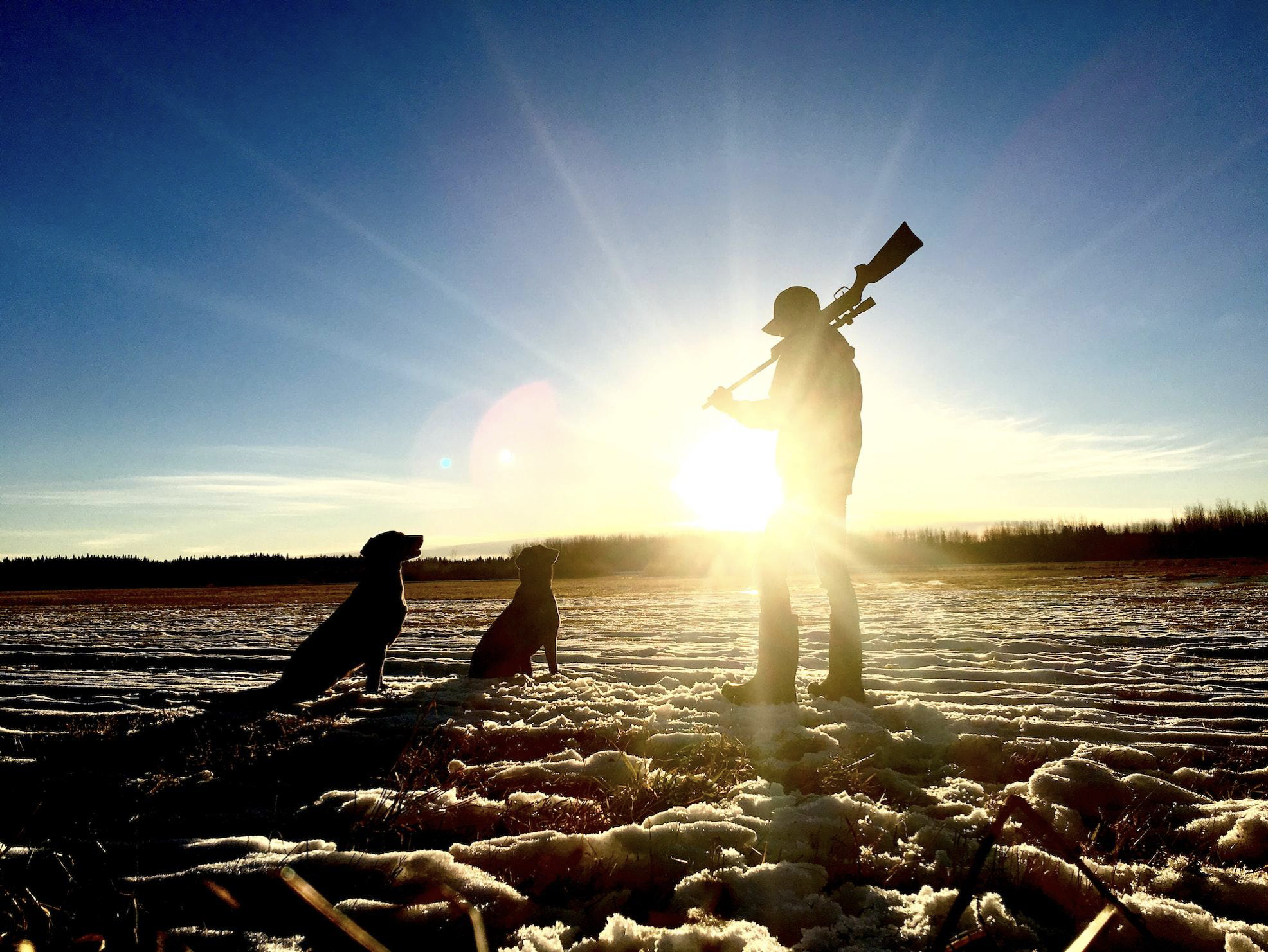 Improve Your Hunting Strategies: A How To Guide