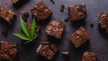 CBD Brownies
