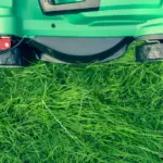Four Amazing Tips to Significantly Improve Your Lawn