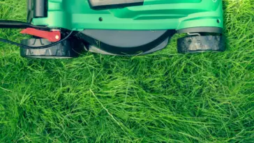 Four Amazing Tips to Significantly Improve Your Lawn