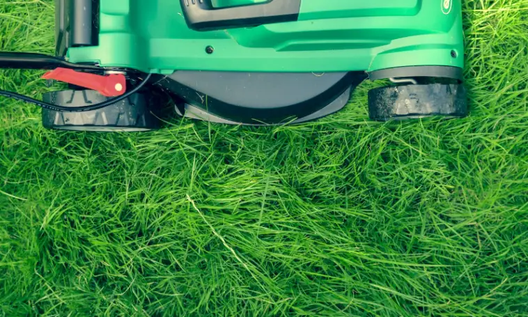Four Amazing Tips to Significantly Improve Your Lawn