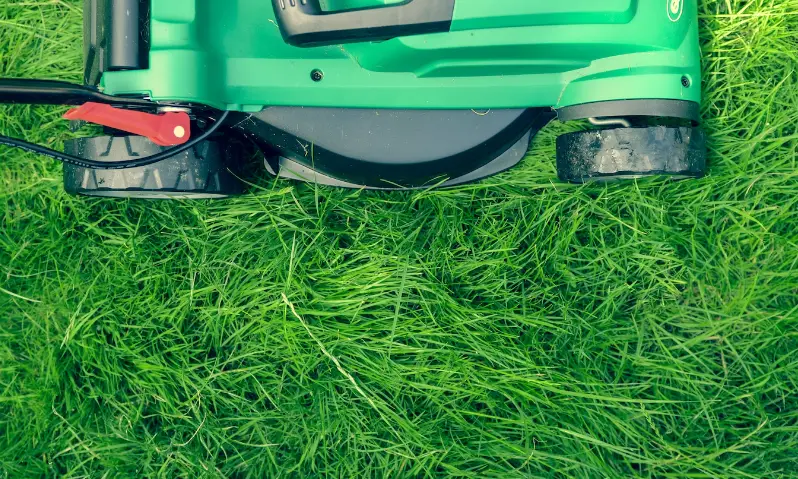 Four Amazing Tips to Significantly Improve Your Lawn
